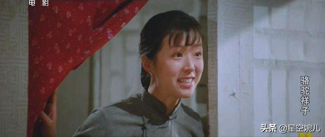 骆驼与祥子有什么相似之处，祥子和骆驼有什么联系