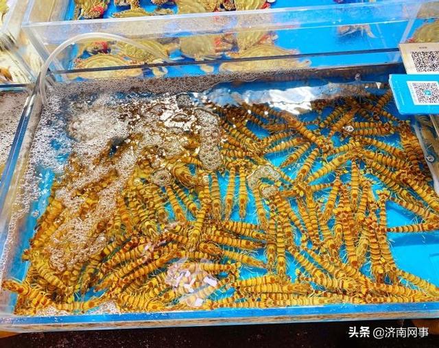 厦门海鲜大市场，厦门海鲜市场有几家（开海后的厦门海鲜市场）