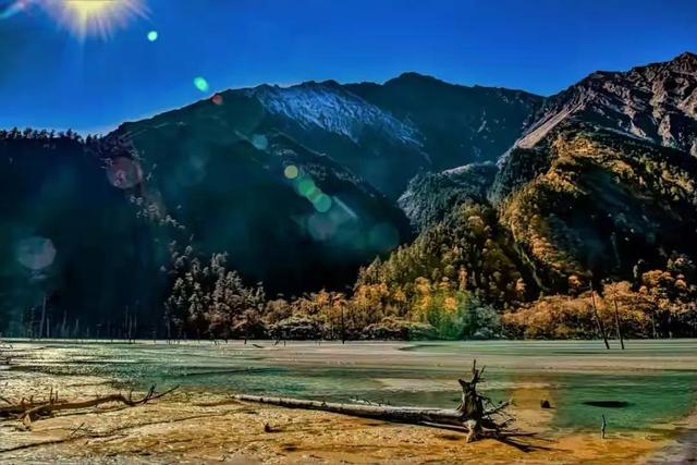 道德经悟道技巧，树袋熊大话助读《道德经》第十六章