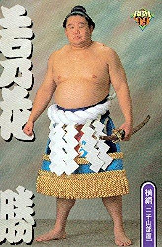 日本大相扑文化与竞技，相扑的起源