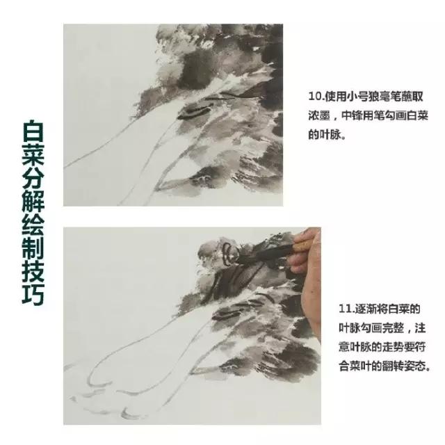 水墨画白菜的画法步骤，写意蔬果入门画法之白菜、辣椒的画法步骤
