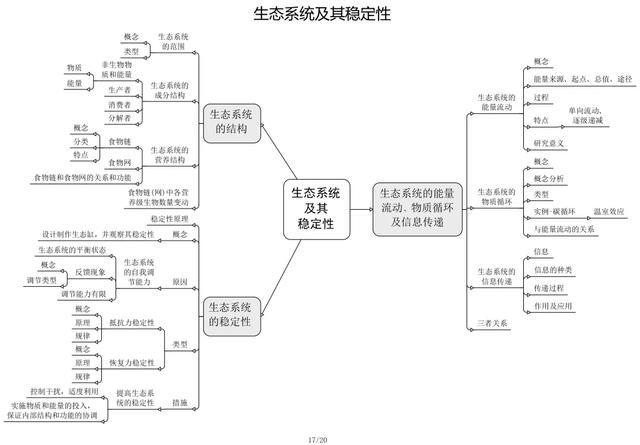 生物选修一思维导图，高中生物必修一思维导图 最新收藏