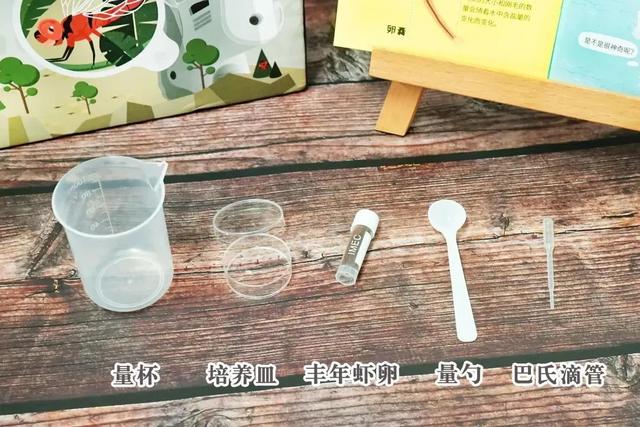 盘点小时候你没有玩过的玩具，农村孩子自制的33种难忘的玩具
