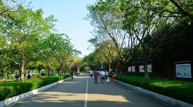 广州大夫山在哪，广州番禺-大夫山