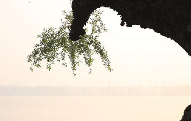 带有春风的诗词句有哪些，58句春风诗词送给你