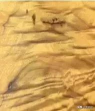 金丝楠木如何辨别，神秘金丝楠木如何品鉴