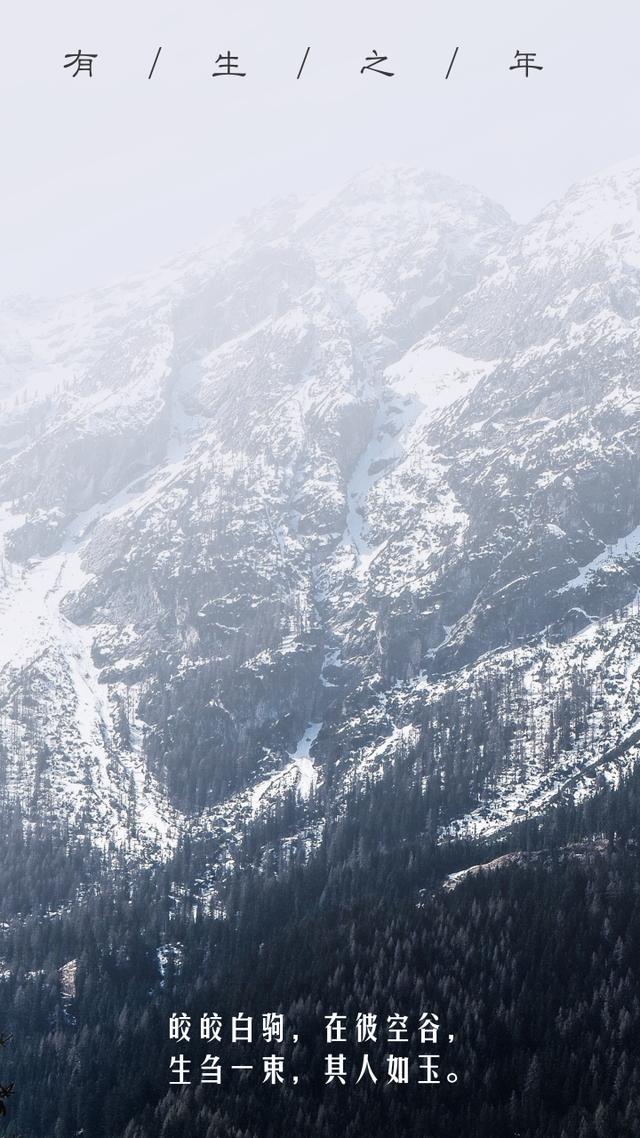 华为手机壁纸超清全面屏海边,华为手机用上美爆了 华为手机壁纸超清全面屏海边,华为手机用上美爆了