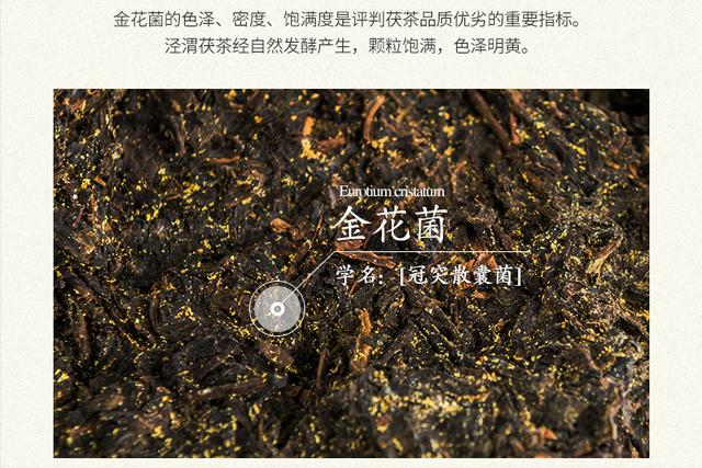 陕西产茶哪种最好，为陕西茶叶代言