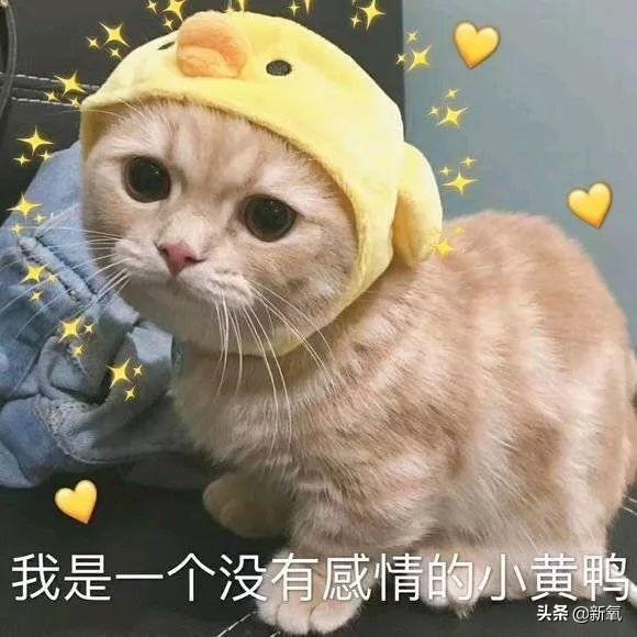 李响孙骁骁公开恋情，孙骁骁李响分手原因曝光（主持人李响大婚新娘不是孙骁骁）