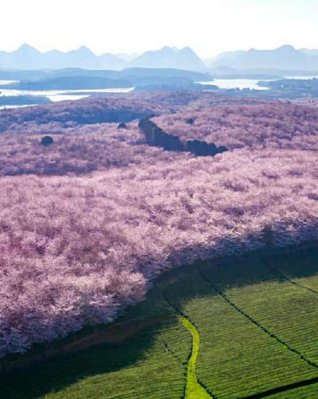 四月份去哪里旅游好，4月旅游必去十大景点