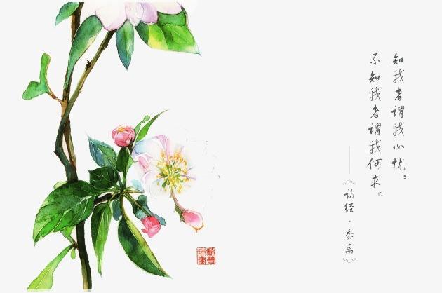 天下君王莫非王土，莫非王土；率土之滨