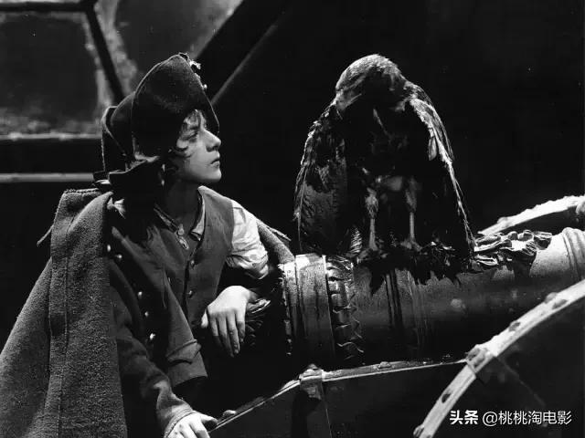 最值得看的电影，100部最值得看的电影名单（16部补充心灵能量的高分电影）