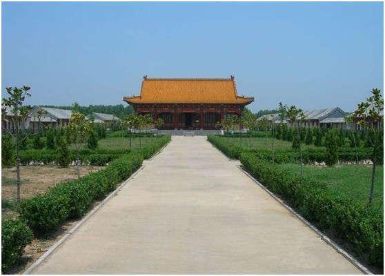 菏泽附近旅游景点，菏泽哪些好玩的旅游景点（菏泽14处省级以上湿地公园）