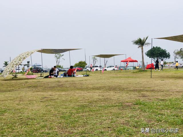 广州自驾露营有哪些地方，广州这5个地方真是绝了
