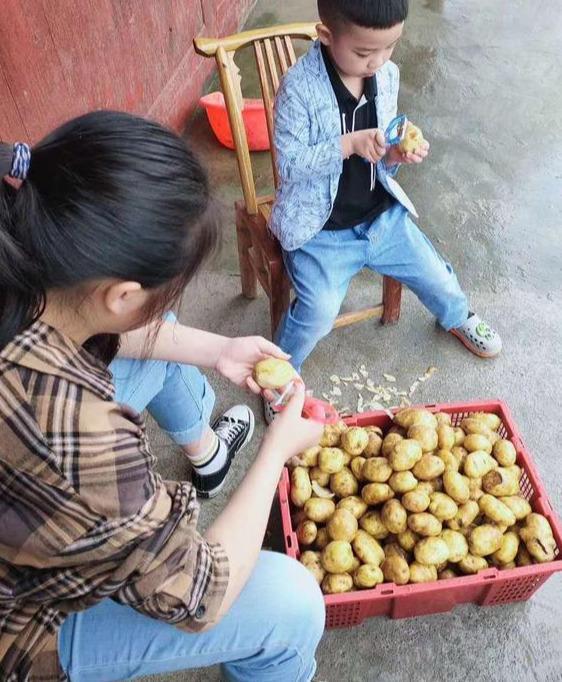 洋芋粑粑的做法，贵阳洋芋粑粑做法大全