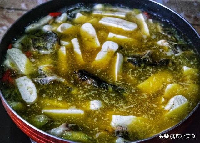 豆腐煮黄骨鱼家常做法，10块买4条黄骨鱼搭配豆腐焖