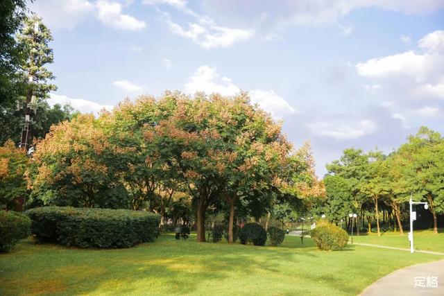 莲花山公园 网红打卡地，莲花山公园又红了