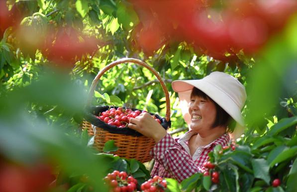 淄博当地特色美食，一座宝藏美食之城