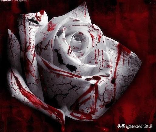 盘点世界七大诡异歌曲，揭秘世界三大禁曲