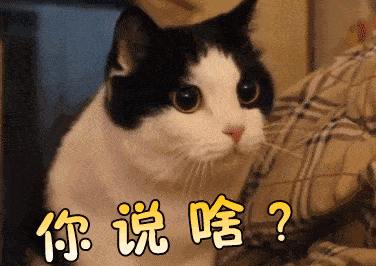 印度蛇为什么是保护动物，印度每年4.59万人死于蛇咬