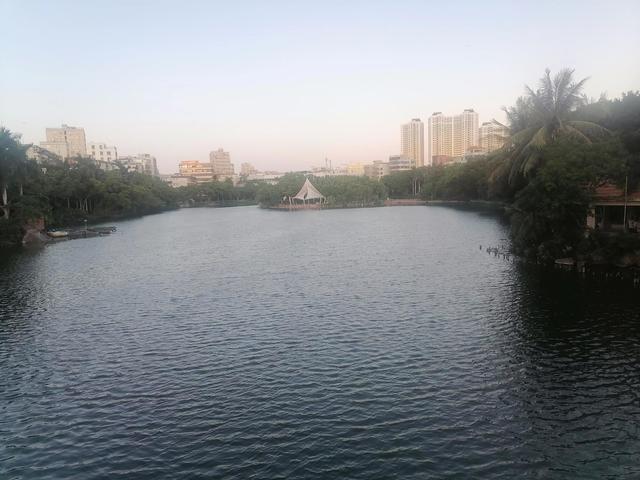 湛江最大的土塘，这里土塘塘租全线飙涨