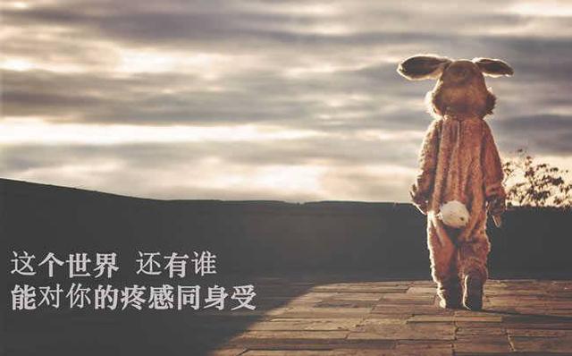 脆弱的塑料友情，塑料友情，别太当真