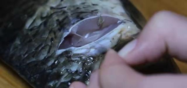 鱼腥线怎么去除，怎样去鱼腥线的方法