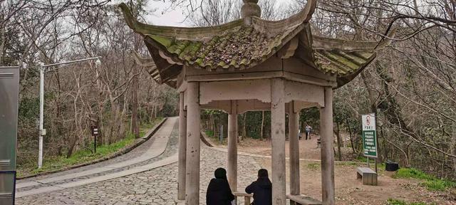 南京紫金山登山路径，南京紫金山登山线路攻略