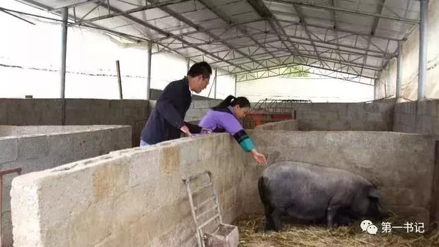 郭沫若天上的街市，关于郭沫若的天上的街市（七年级语文上册二十课《天上的街市》课文笔记）