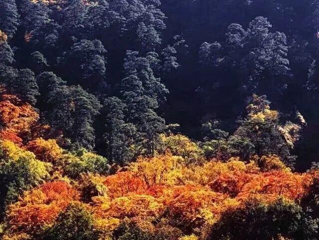 山南旅游景点大全，山南旅游最美景点