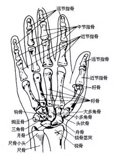 怎么画画更好看，画画的技巧画什么画最好看（宫崎骏的动画太好看了）