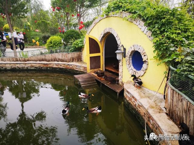 南宫旅游十大必去景点，假日乡村打卡丨夏日来南宫看民族主题花车巡游