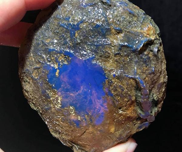 琥珀形成的条件，琥珀的形成过程和条件（琥珀形成需要哪些阶段）