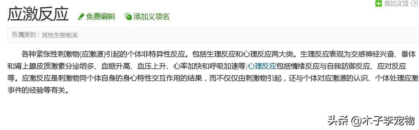 猫的应激反应会怎样，猫咪受到的危害有哪些