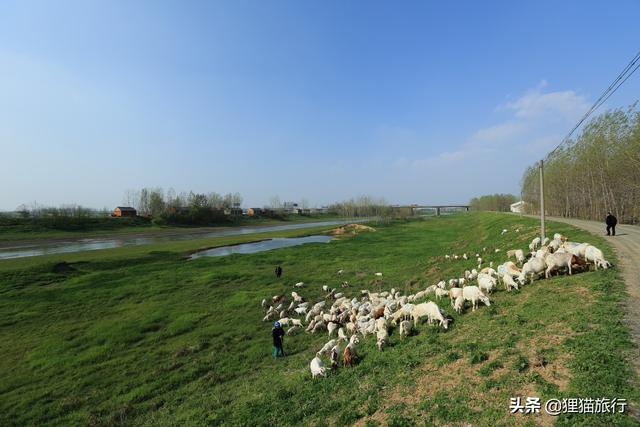 滁州和南京的交界在哪，滁州这条路即将迎来改造