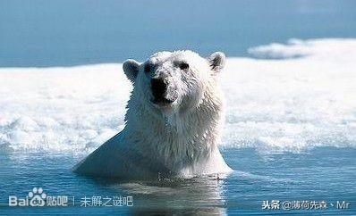 图文直播神秘世界999个未解之谜，世界未解之谜神秘地方