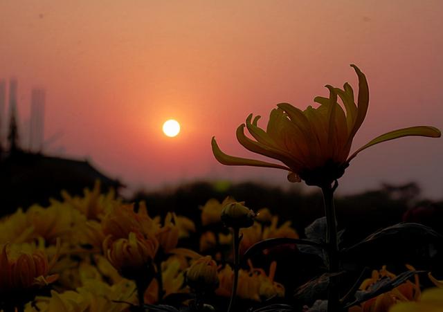 山中留客诗词欣赏，原创诗词杜明新