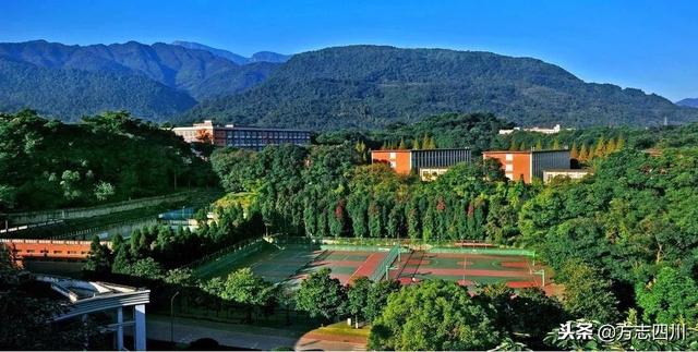 改革开放40年来四川的变化，川味非遗口述史丨成都糖画传承人吴逢全③