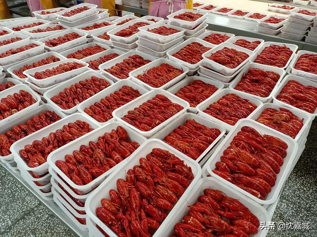 岳阳常住人口和户籍人口，沦落成别人口中的省内第五大城市