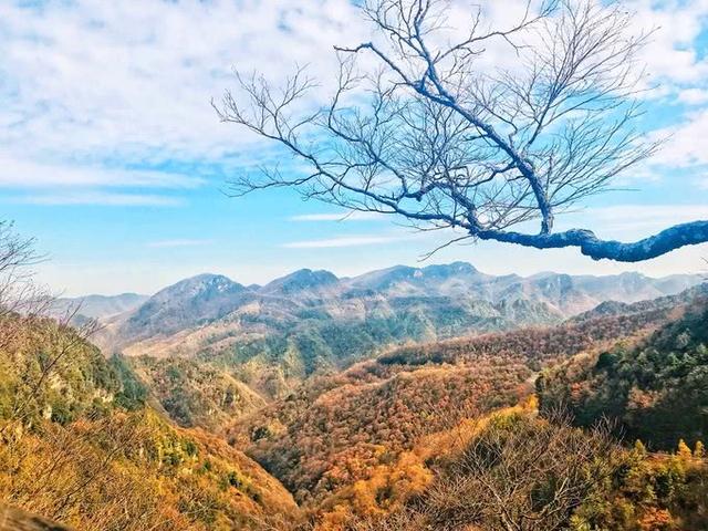 神农架必去5个景点，神农架必游8大景点（这份旅游攻略请收藏）