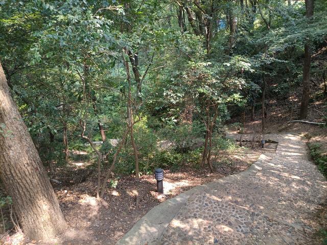 长沙市内十大公园，长沙本地人告诉你这10个地方不能少