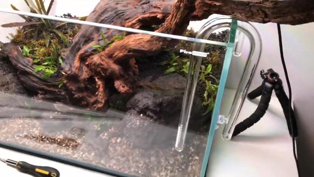 草缸开缸造景图解，给草缸翻缸了重新造景
