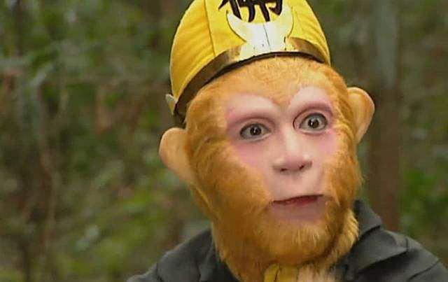 观音菩萨为什么选择唐僧做取经人，观音菩萨为何挑猪八戒护唐僧西行