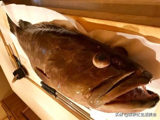 高档海鲜有哪些，全世界最顶级的海鲜（全球十大顶级海鲜食材！）