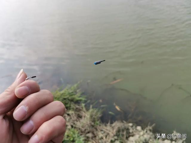 野钓最常用的调漂方法图解，野钓常用的几种调漂方式