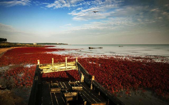 营口赤山风景区简介，辽宁团山国家级海洋公园