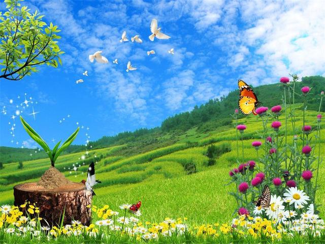 好看的电脑桌面图片，干净好看治愈系电脑桌面壁纸（一大波好看的电脑壁纸）