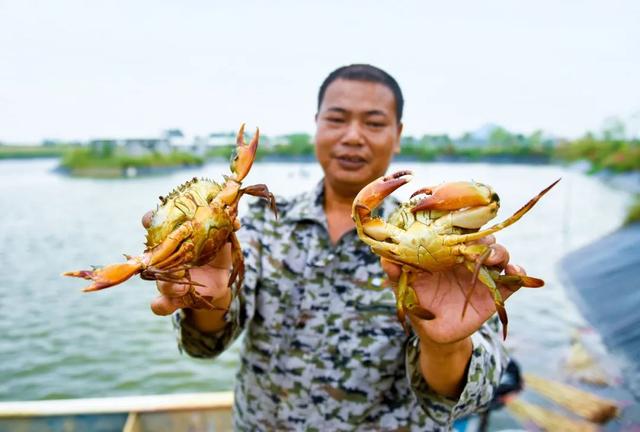 阳江最宜居的地方，阳江山海有情幸福之地