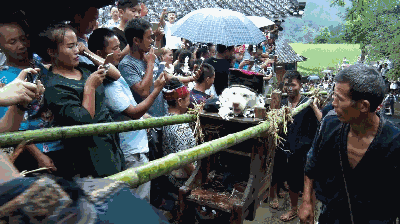 少数民族抬狗节，全世界最宠狗的民族