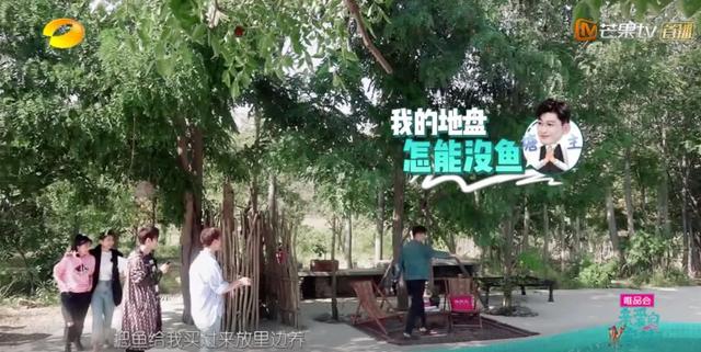 冷酷总裁邪魅女，为什么张翰被称为霸道总裁（霸道女总裁人设却有一张巧笑嫣然的脸）